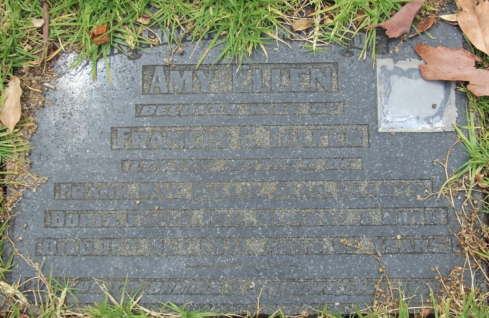 Amy ellen telfer grave