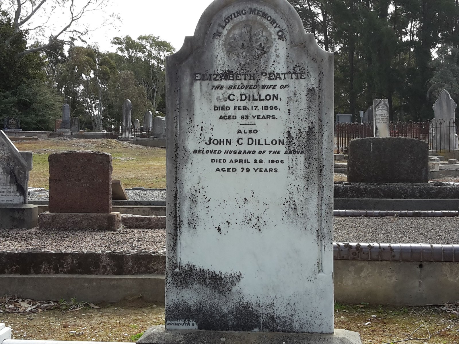 John charles dillon grave photo